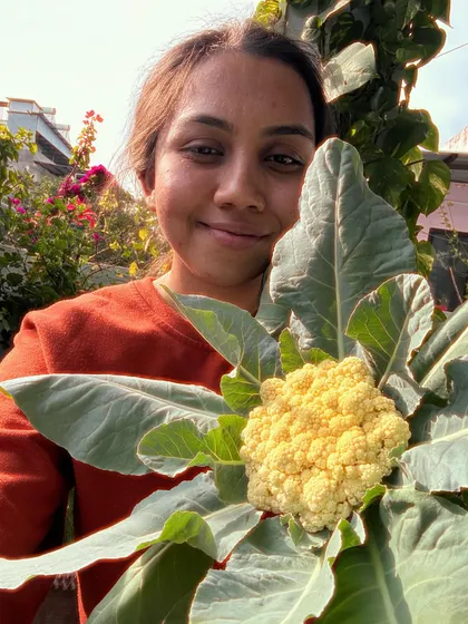That proud plant-mom moment with my homegrown cauliflower. It was grown with zero effort while I was away, which shows how resilient plants can be.
