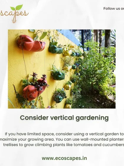 Tip: Consider vertical gardening. If your floor space is limited, wall-mounted planters or trellises are excellent solutions for maximizing your growing area and adding a green wall feature.