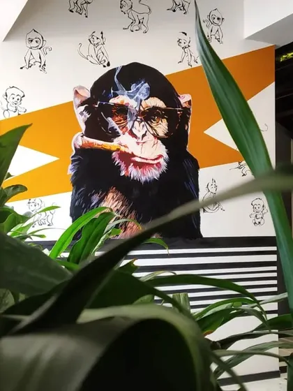 Another shot of the 'Smokin Monkey' mural, seen through the foliage.