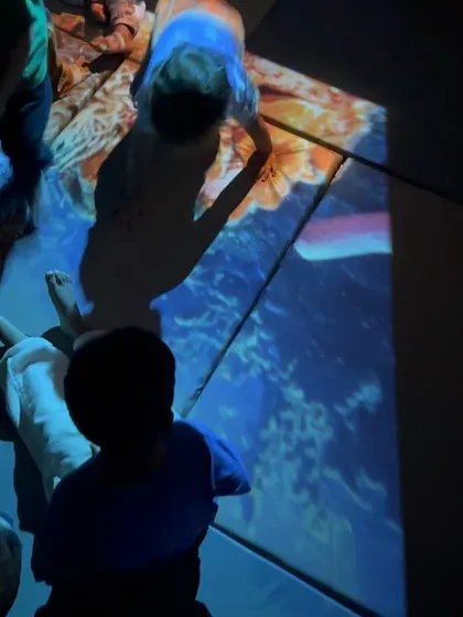 A child interacts with an underwater scene projected onto the floor, their shadow becoming part of the seascape. This simple tool opens up new possibilities for movement, storytelling, and sensory exploration.