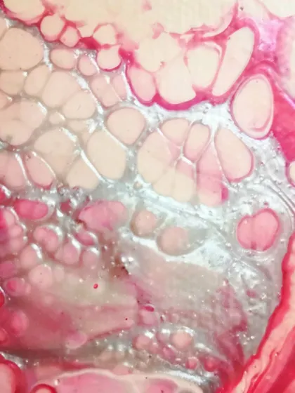 Another macro shot, this time showing the shimmering silver paint I mixed in with the pinks. It adds a touch of light and magic.