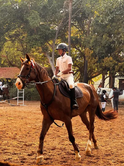 Our competition team is catching up quickly. The medal tally from the Auroville Horse Show, with 4 Gold, 6 Silver, and 4 Bronze, is a testament to the rapid progress of our new additions.