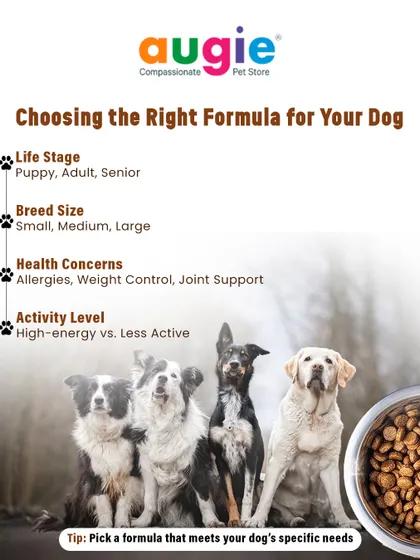 Choosing the right formula depends on your dog's unique needs. Consider their life stage (puppy, adult, senior), breed size, any health concerns like allergies, and their daily activity level.
