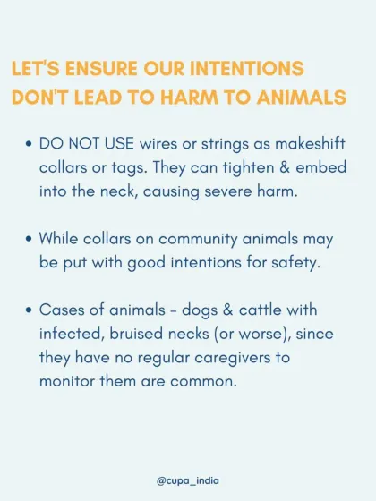 A simple guide on collars. Never use wires or strings as makeshift collars, as they can embed in an animal's neck and cause severe harm. Good intentions must not lead to injury.