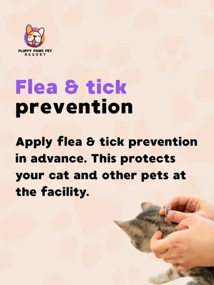 Flea and tick prevention is a must. Applying it in advance protects not only your cat but also all the other beloved pets at our facility.