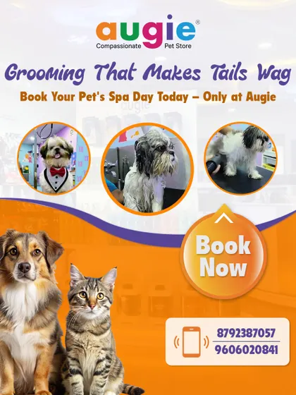 We offer grooming that makes tails wag! Whether you have a dog or a cat, book their next spa day with us. We pamper every pet with the love, care, and professional attention they deserve.