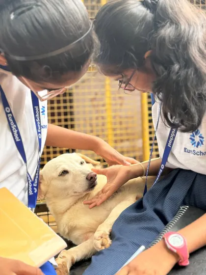 Two students from EuroSchool carefully pet one of our senior dogs. Our school programs provide a safe and supervised environment for children to connect with animals of all ages and temperaments.