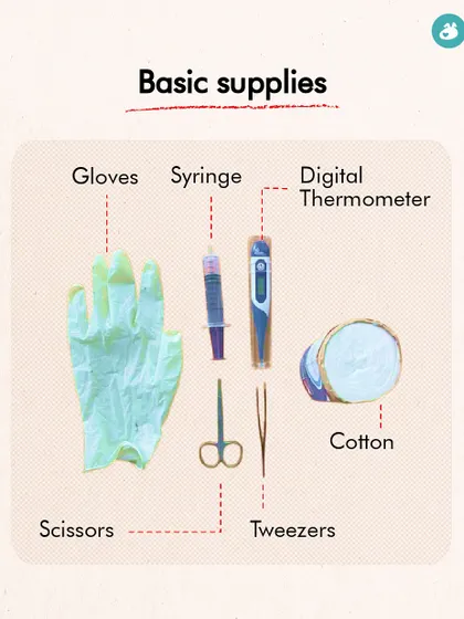 This graphic details more essential supplies for your dog's first-aid kit. Items like gloves, scissors, tweezers, a digital thermometer, and cotton are crucial for handling emergencies safely and effectively.
