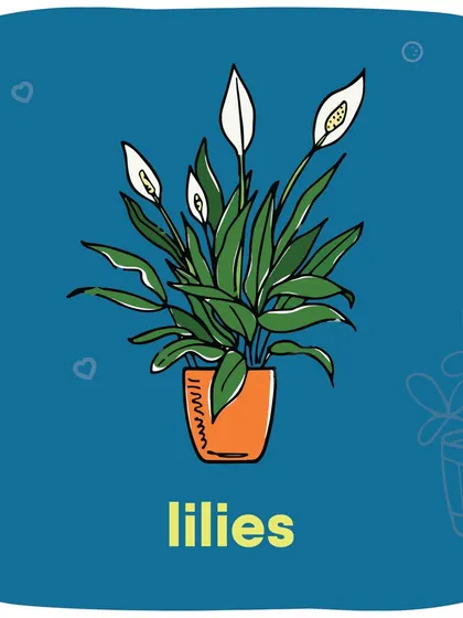 Lilies are extremely toxic to cats, with even a small amount of pollen being dangerous. It's best to avoid having them in the house if you have a feline friend.
