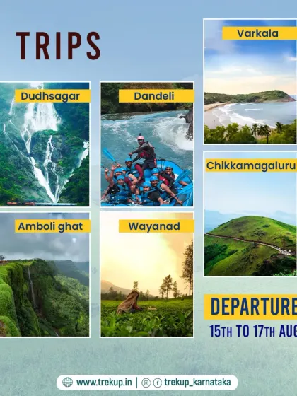 A list of some of the trips I offer, including Wayanad. It is a great destination for those who love forests, wildlife, and scenic beauty.