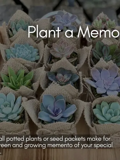 A duplicate of ID 133, this image promotes the eco-friendly wedding favor idea of gifting plants.