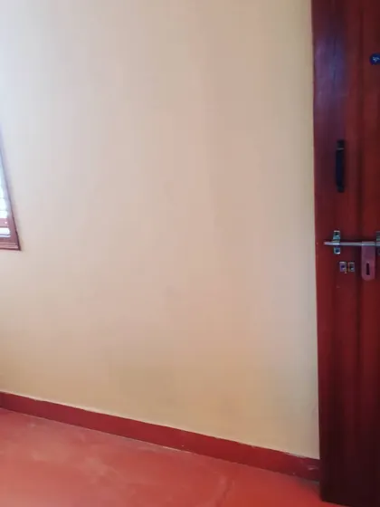 This image shows a freshly painted wall next to a polished wooden door. We take care to paint neatly along edges and borders for a professional result.
