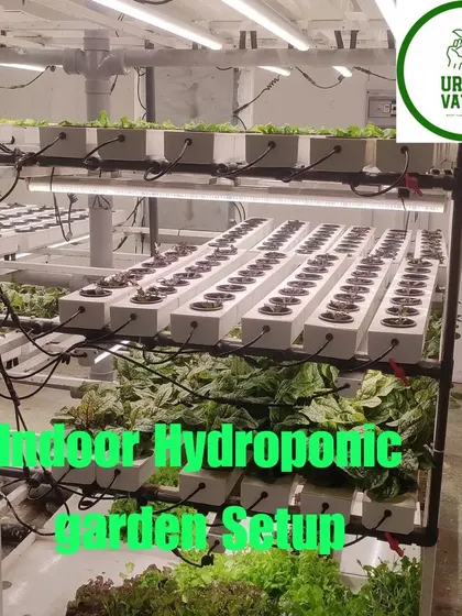 No soil, no mess, just fresh greens. This is an indoor vertical hydroponic garden I installed, perfect for growing lettuce, herbs, and other vegetables right in your kitchen using specialized LED grow lights.