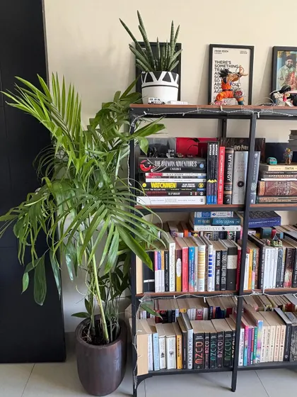 For the plant and comic lover, this setup is a dream. A large palm and a smaller snake plant bring life to this bookshelf, proving that greenery can fit into any hobby or interest.