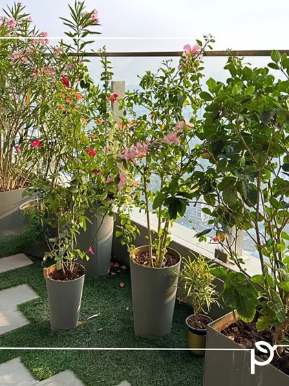 A collection of flowering plants in modern grey planters brings life to this city balcony. The mix of roses and other native species creates a beautiful, fragrant space to unwind.