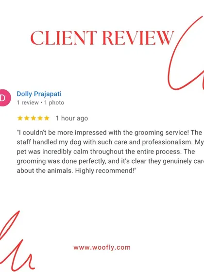 This review makes me so proud. It shows my genuine care for animals and my commitment to a calm, professional, and perfectly executed grooming session.