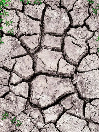 I find beauty even in cracked, dry earth. This top-down shot focuses on the abstract patterns and textures created by the drought, with small green plants showing signs of life. It's a different kind of nature photography.