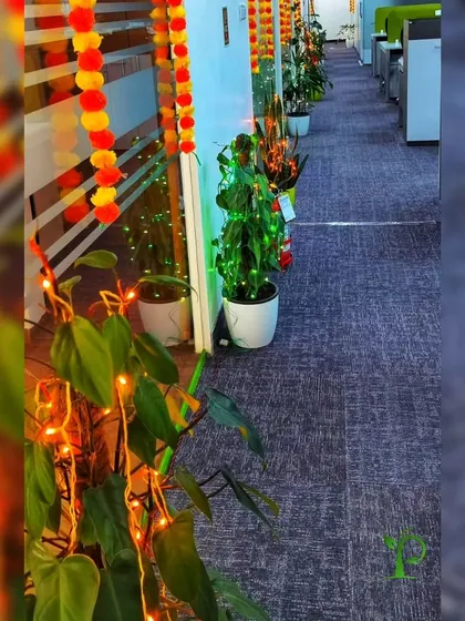 Plants can be part of any celebration. Here, we decorated office plants with fairy lights to add to the festive atmosphere during Diwali, making the festival of lights even more joyous.