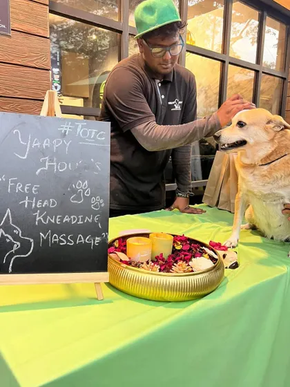 Another happy dog getting a complimentary massage at our community event. It's a great way for new clients to experience our gentle touch.