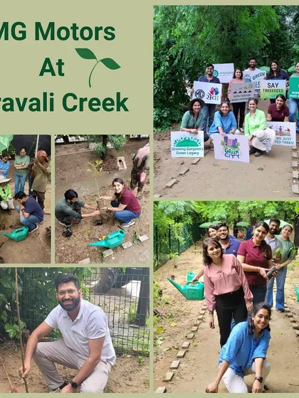 A collage showing the MG Motors team braving the rain to plant 100 native saplings like Gangeti and Marodphali at Aravali Creek.