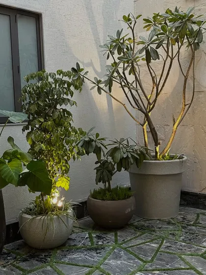 A simple yet elegant courtyard corner. The space is brought to life with a few well-chosen potted plants and clever uplighting, which creates beautiful shadows on the wall at night.
