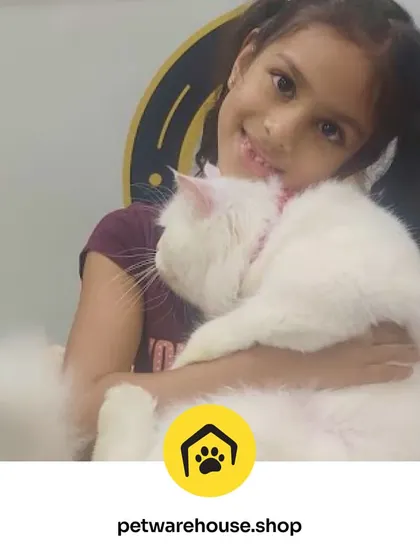A well-groomed pet is a reflection of a happy home. This young girl shares a sweet moment with her fluffy white cat, who looks clean and content after a visit to our grooming salon.