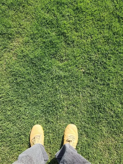 Standing on our turf, you can feel the quality. We provide the foundation for beautiful, eco-friendly gardens.