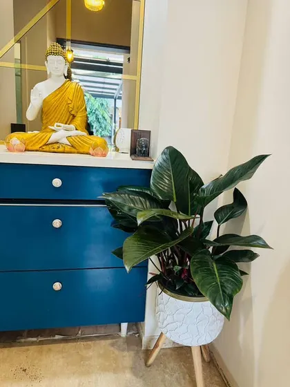 Finding the perfect plant for the perfect spot is key. This Philodendron Green Congo, with its large, glossy leaves, fits beautifully next to this blue console table and Buddha statue, creating a peaceful and stylish vignette.