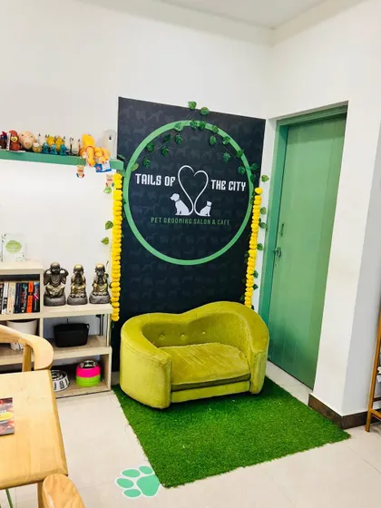 Our iconic pet-sized green couch, ready for the next furry client. This corner of our salon is perfect for post-grooming photoshoots.