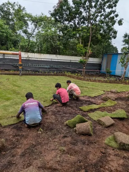 Three of our workers lay turf in unison on a large plot, showcasing our team's coordinated effort.