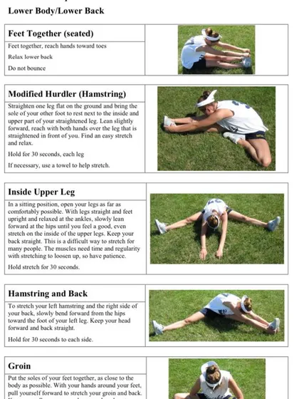 A visual guide to essential lower body and back stretches. I provide my clients with clear instructions for stretches like the modified hurdler and groin stretch to improve flexibility and aid in muscle recovery.