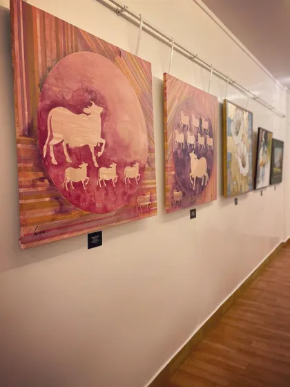 My "Kamaduha" series on display in a gallery corridor. The two paintings, with their modern take on Pichwai cows, create a beautiful narrative along the wall.