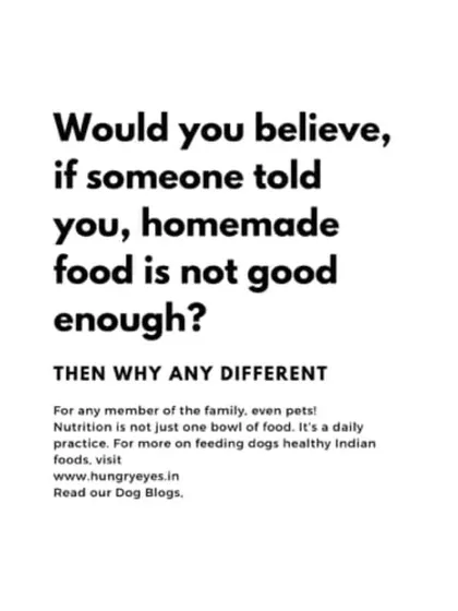 Would you believe someone if they told you homemade food isn't good enough for a family member? We believe the same applies to our pets. Nutrition is a daily practice, not just one bowl of food.