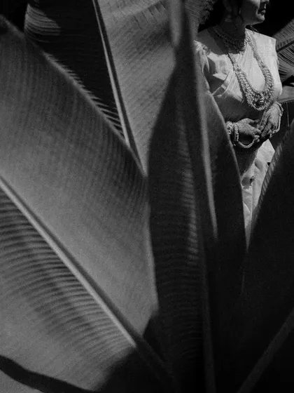 An artistic black and white shot peeking through giant leaves. This creative framing adds a natural, organic element and a sense of mystery to the bridal portrait.