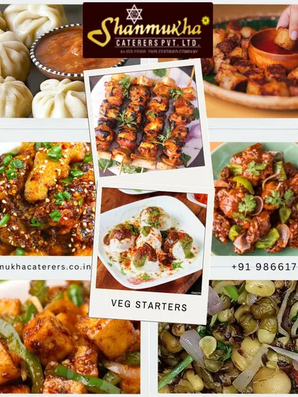 A collage of our diverse vegetarian starters, including paneer tikka, dahi vada, momos, and various Indo-Chinese appetizers.