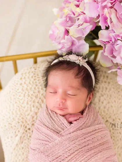 A single portrait from a twin session. This sweet newborn girl is swaddled in pink and sleeping on a miniature golden bed, surrounded by a cascade of purple and pink hydrangeas.