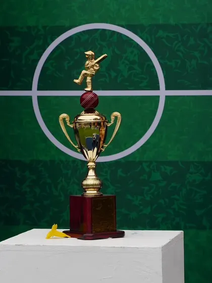 A close-up of the trophy detail from a cricket-themed party, showing my commitment to getting every element of the theme just right.