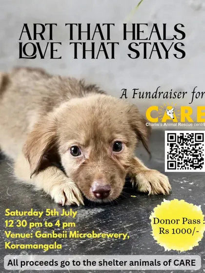 Art that heals, love that stays. This poster announces our Intuitive Art Workshop, a fundraiser where participants can explore their creativity while supporting our shelter animals. No art skills are required, just an open heart.