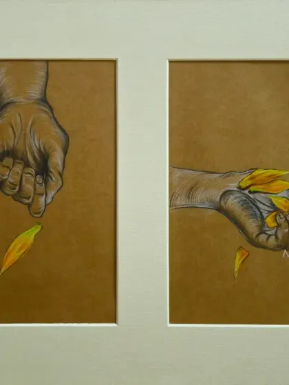 'Delicate Champaka', a diptych showing hands interacting with the flower's petals. This A3-sized piece explores the themes of touch, fragility, and the transient beauty of nature.