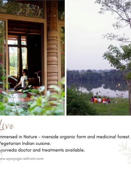A collage showing how we live immersed in nature, from practicing yoga in our rooms with open doors to gathering with friends by the riverside.