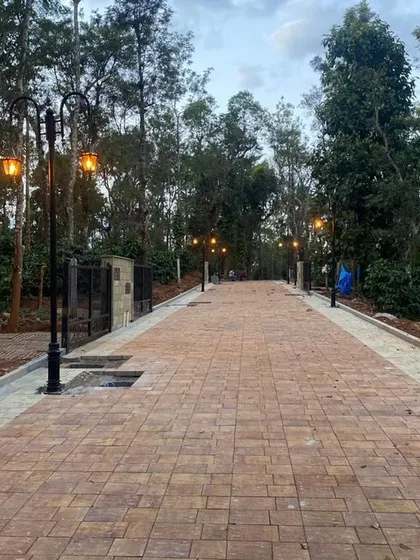 The main paved road at our Sakleshpur project, illuminated by classic lamp posts. Set against a backdrop of dense forest, this design element provides safe passage while adding a touch of rustic elegance to the estate.