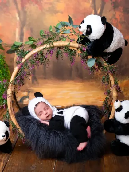 A precious newborn dressed as a panda, sleeping in a basket surrounded by other pandas. This is an example of a fully realized themed newborn photoshoot.