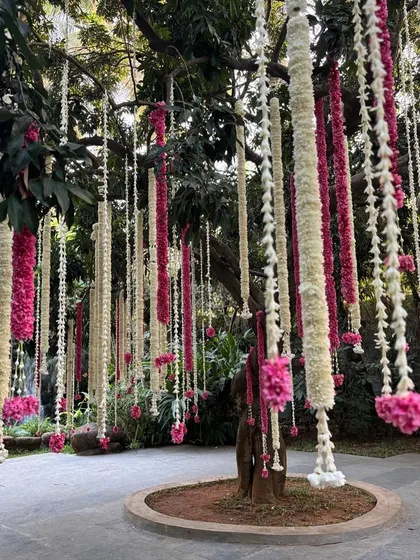 A tree adorned with hanging garlands of white and pink flowers, adding a touch of romance to the outdoor venue.