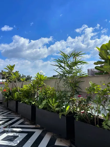This terrace makeover in East of Kailash is one of our absolute favorites. The black planter boxes create a stunning contrast against the geometric floor tiles and the bright blue sky, filled with a mix of Champa and bamboo.