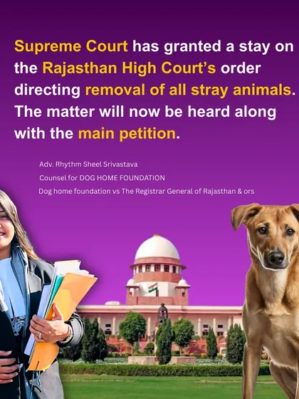This was a major victory. We successfully secured a stay from the Supreme Court on an order that would have removed all stray animals in Rajasthan. This is the power of Public Interest Litigation in action.