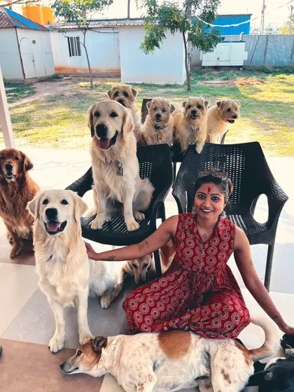 My happy place, surrounded by a pack of wonderful dogs. This picture captures the pure joy that inspired me to become a groomer.