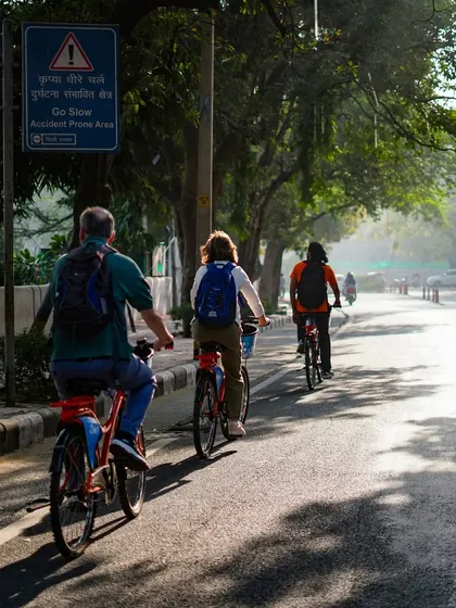 The morning light filters through the trees, creating a beautiful, dappled effect on the road. Our early tours are perfect for experiencing this tranquil beauty.