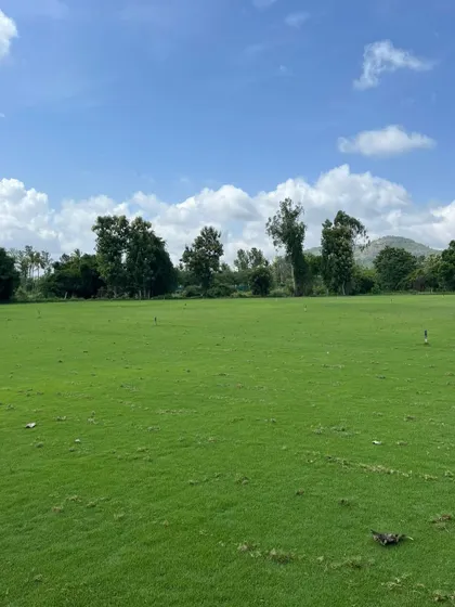 A view of a large field I covered with pure Mexican grass. It creates a beautiful, expansive green landscape.