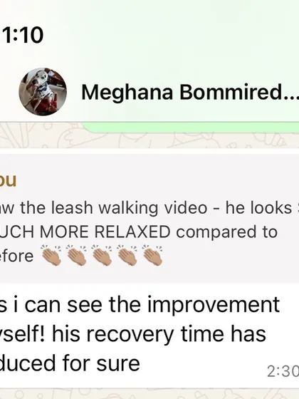 A WhatsApp update showing that Coco's recovery time from stressful events has reduced, a key indicator of progress in behavior modification.