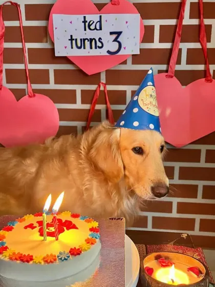 A duplicate of image 28, showing Ted's birthday celebration.